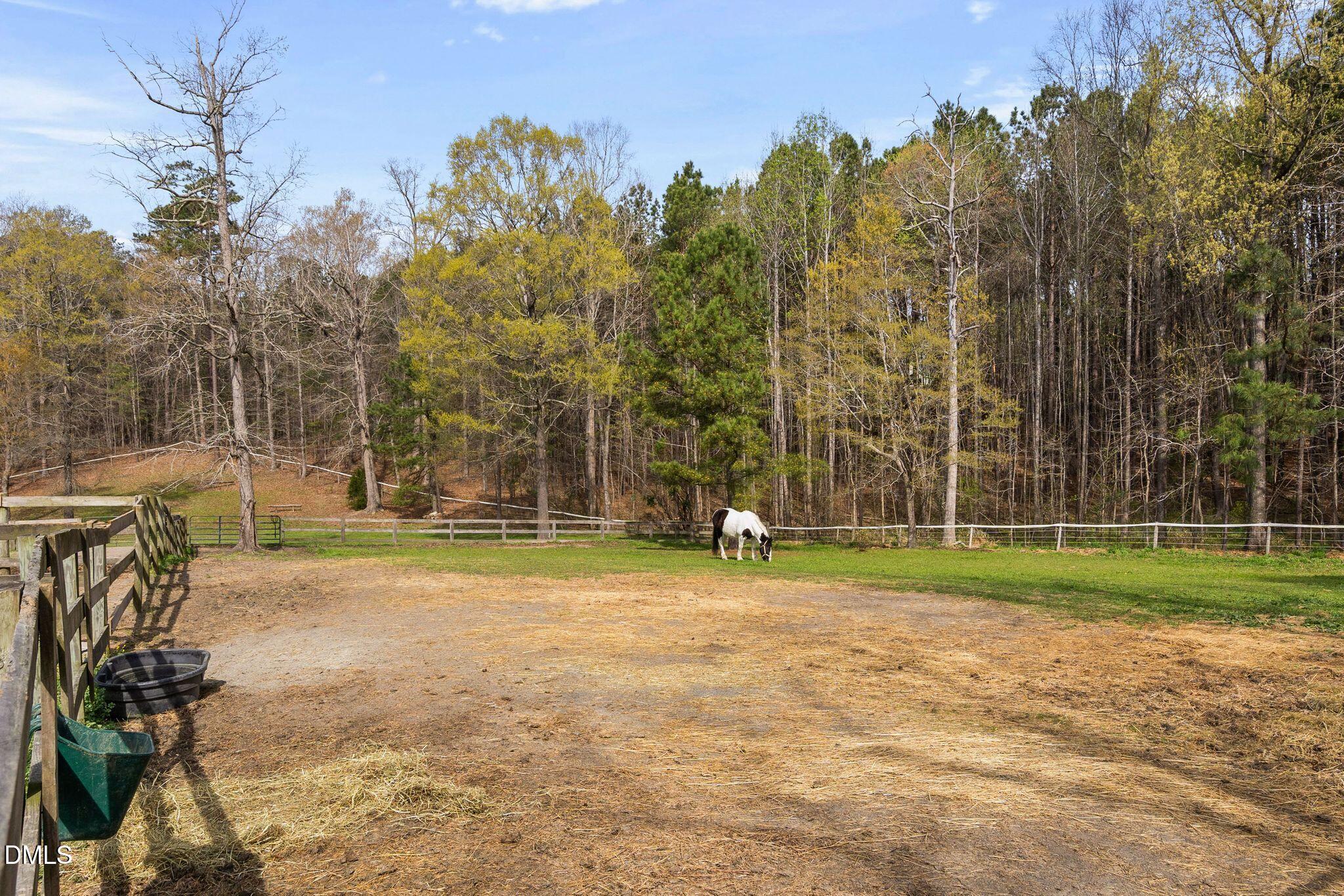 8908 Weaver Crossing Road Apex, NC 27502 - Photo 73 of 100 Pasture