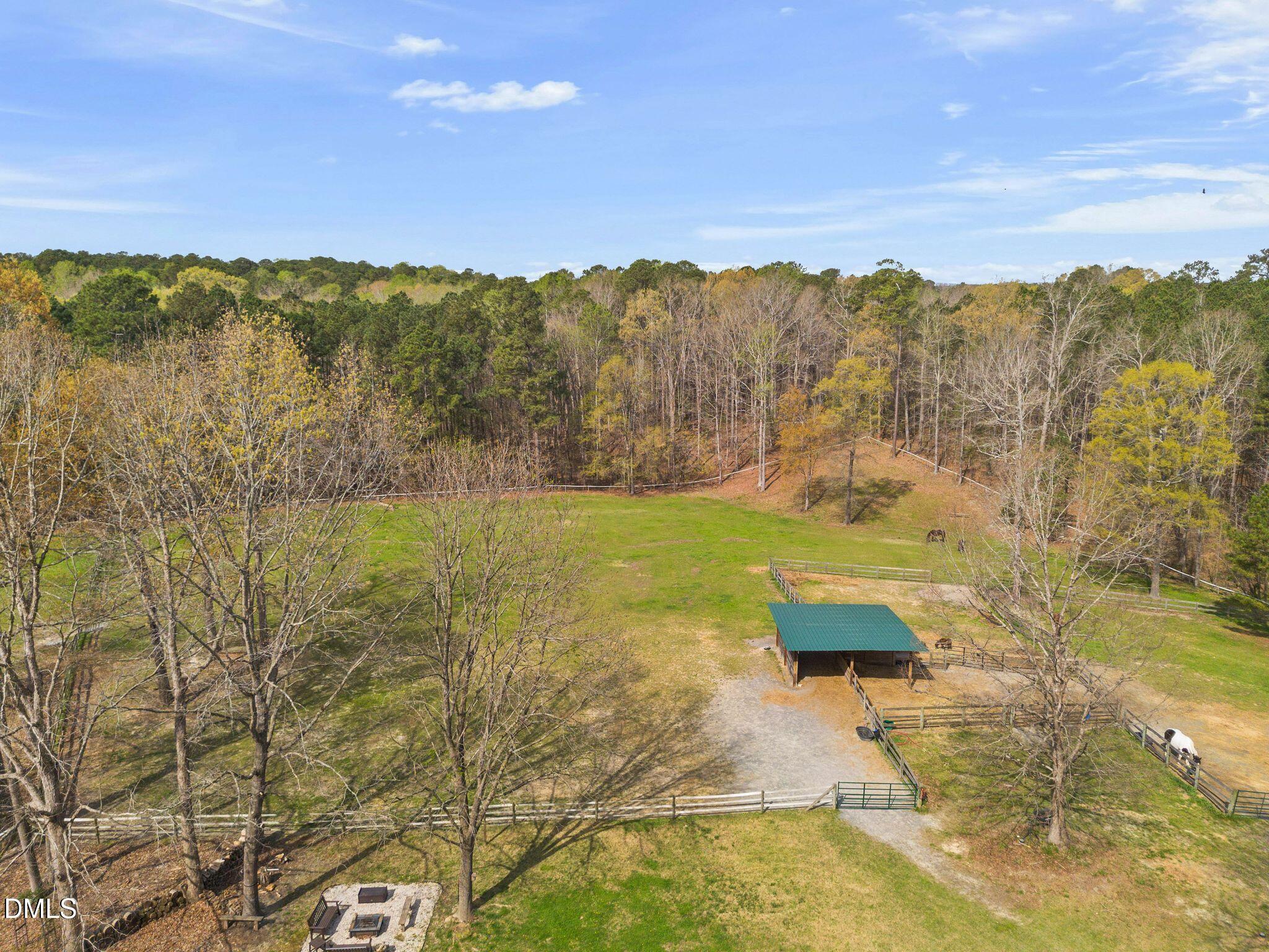 8908 Weaver Crossing Road Apex, NC 27502 - Photo 75 of 100 Pasture