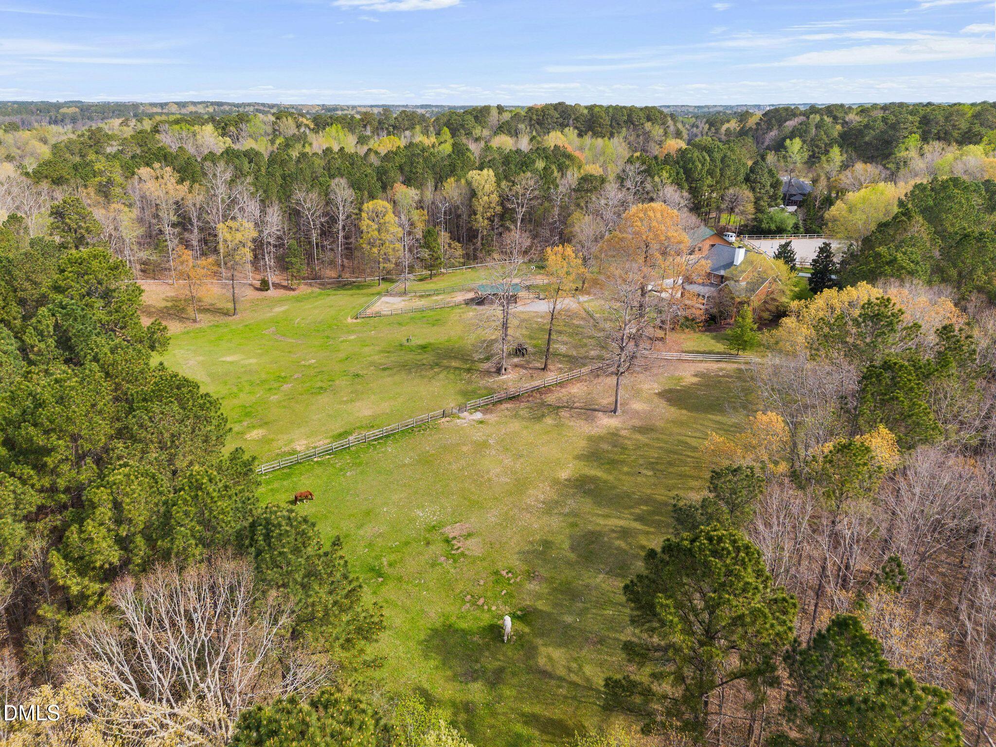 8908 Weaver Crossing Road Apex, NC 27502 - Photo 77 of 100 Pasture