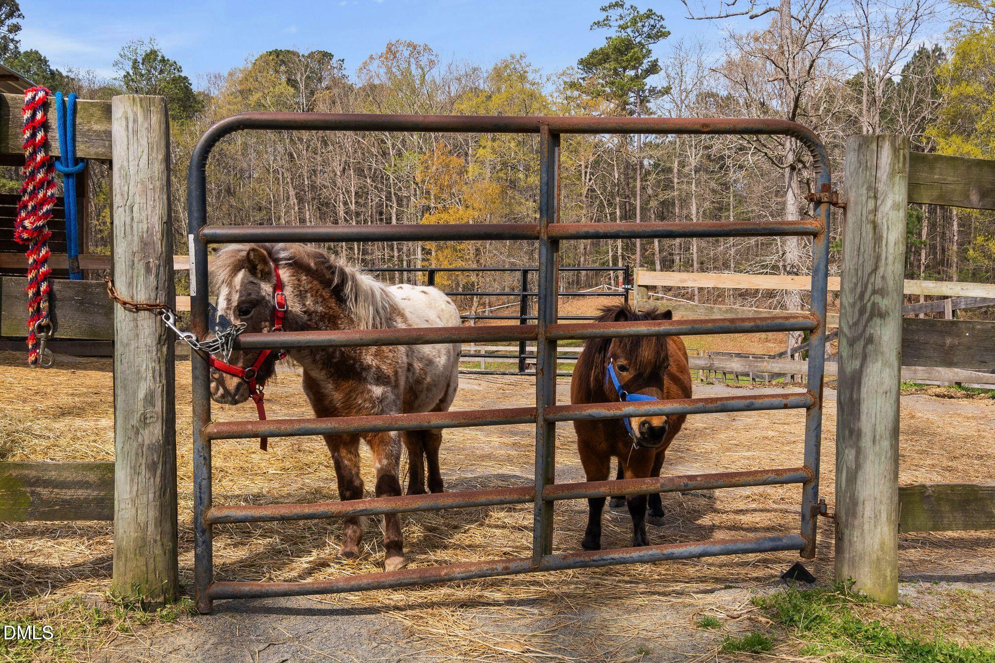 8908 Weaver Crossing Road Apex, NC 27502 - Photo 82 of 100 Pasture