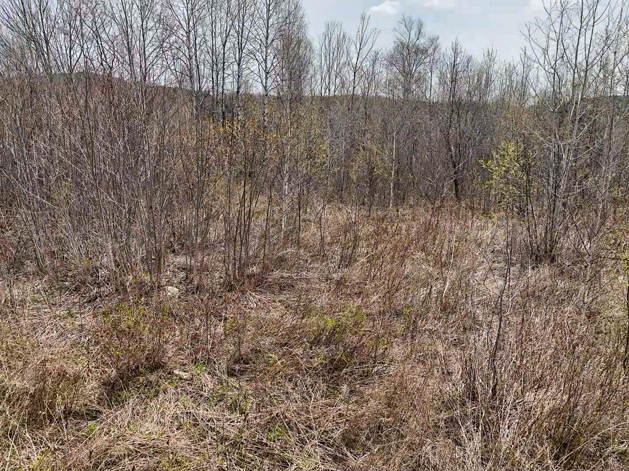 1 Center Hill Road Weld, ME 04285 - Photo 11 of 16 2026-05-09-11-12-09-365