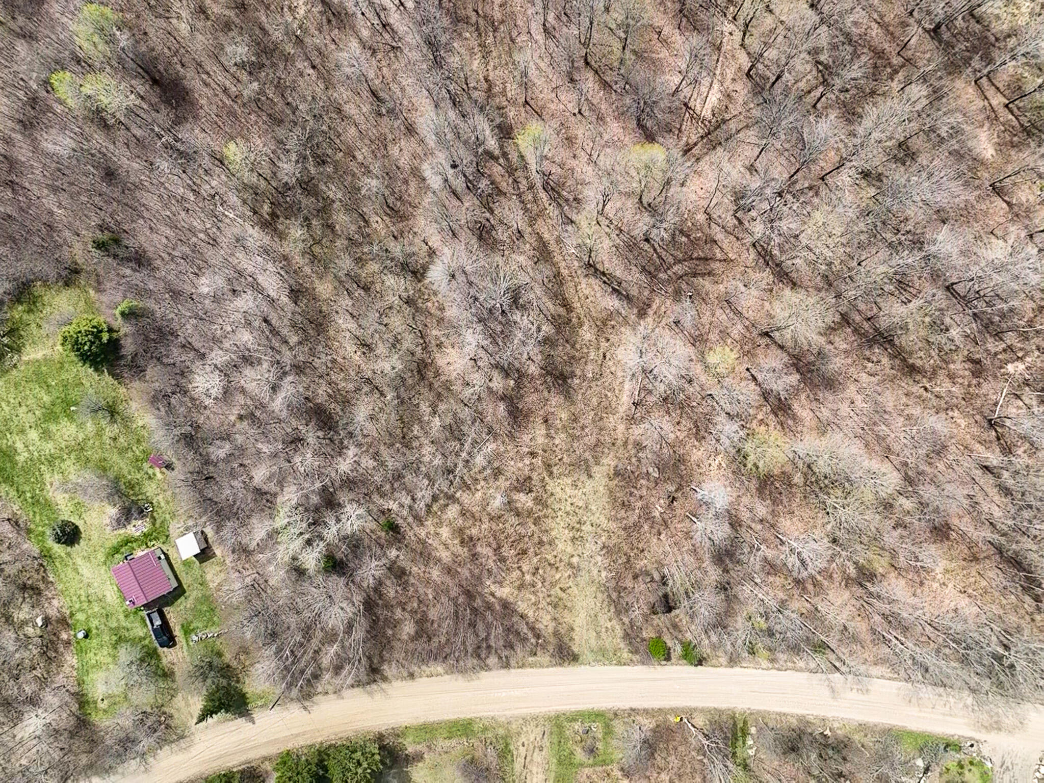 1 Center Hill Road Weld, ME 04285 - Photo 5 of 16 2026-05-09-11-09-28-394