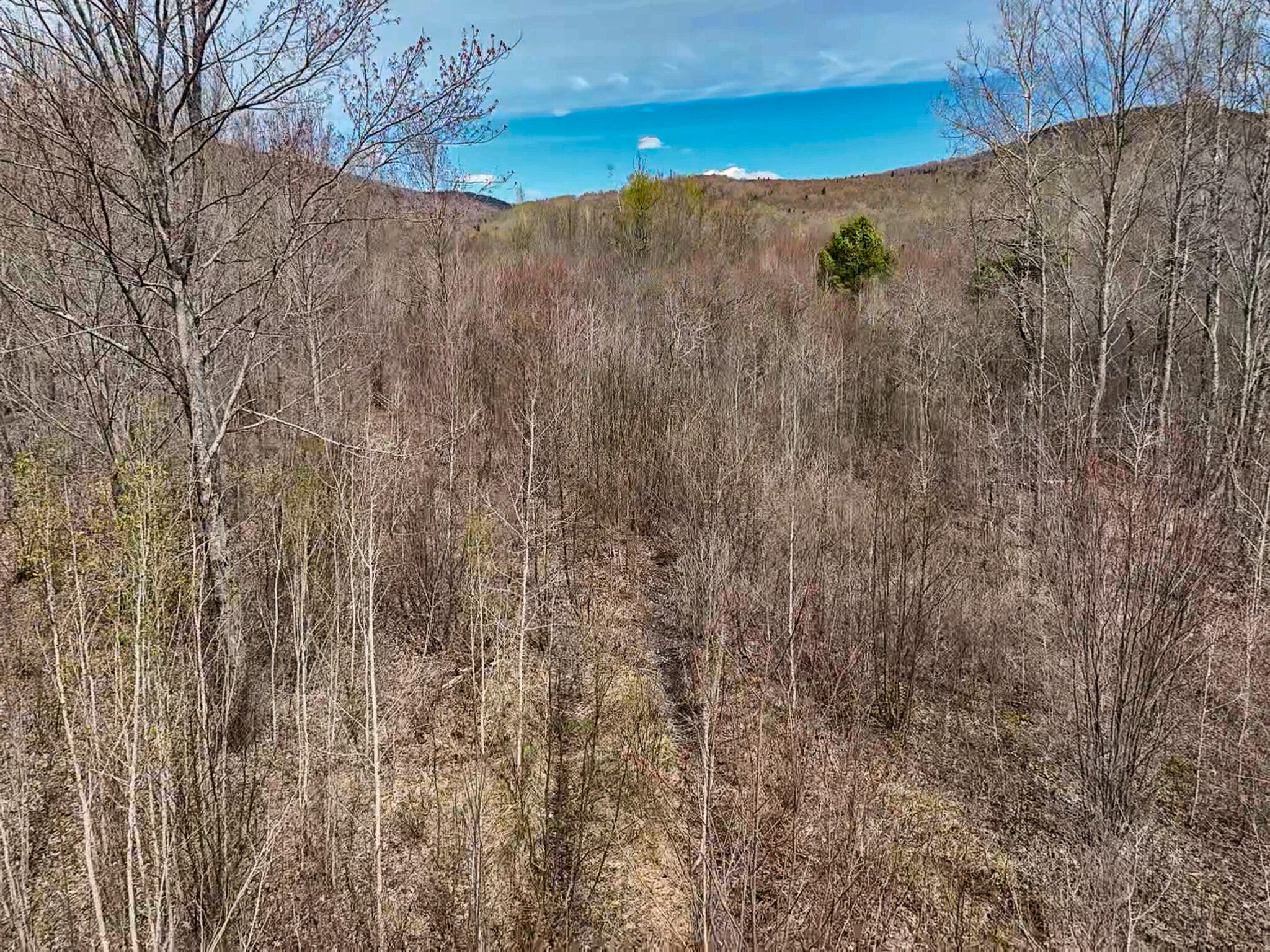1 Center Hill Road Weld, ME 04285 - Photo 7 of 16 2026-05-09-11-11-25-911