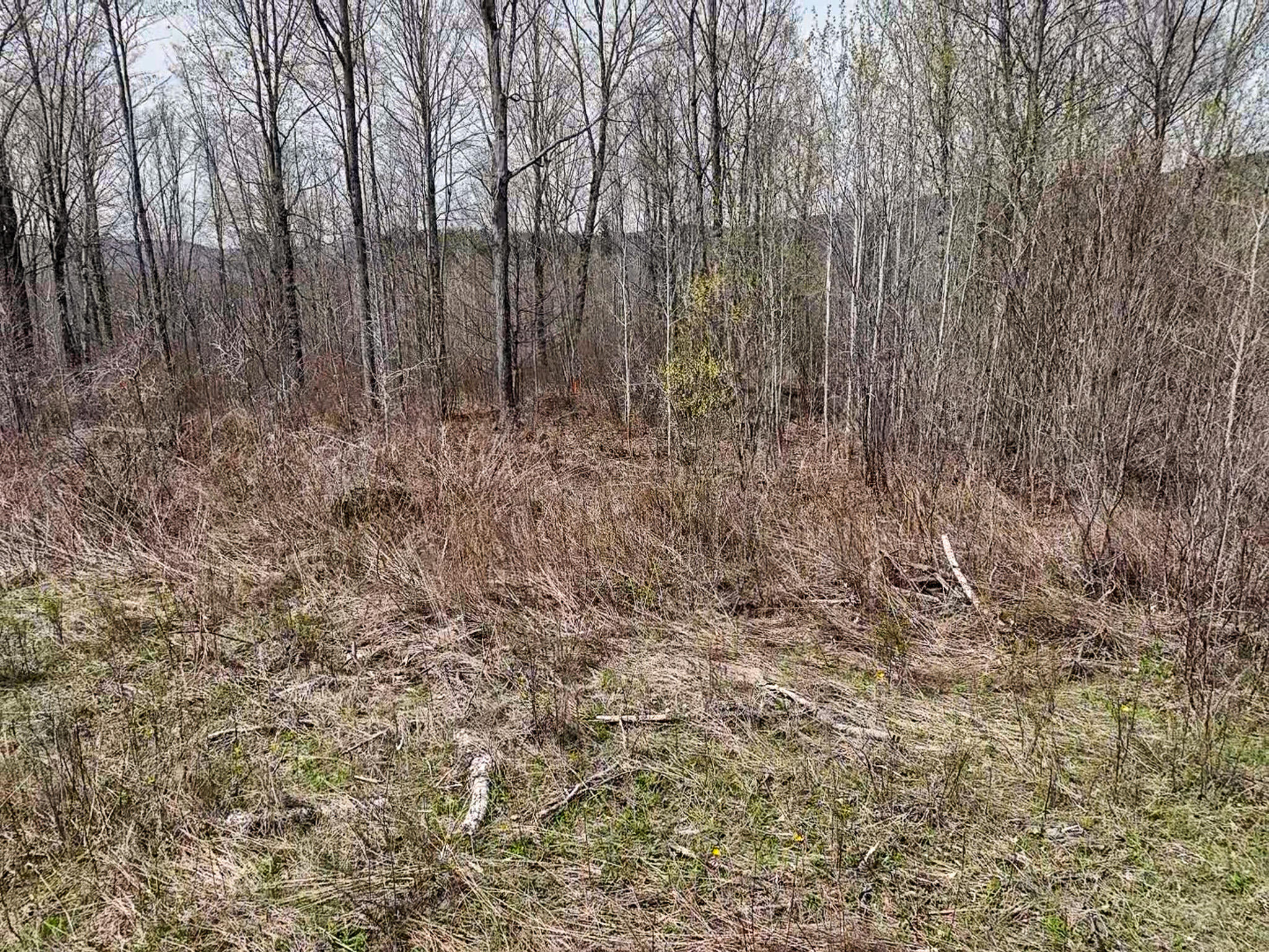 1 Center Hill Road Weld, ME 04285 - Photo 8 of 16 2026-05-09-11-12-04-051