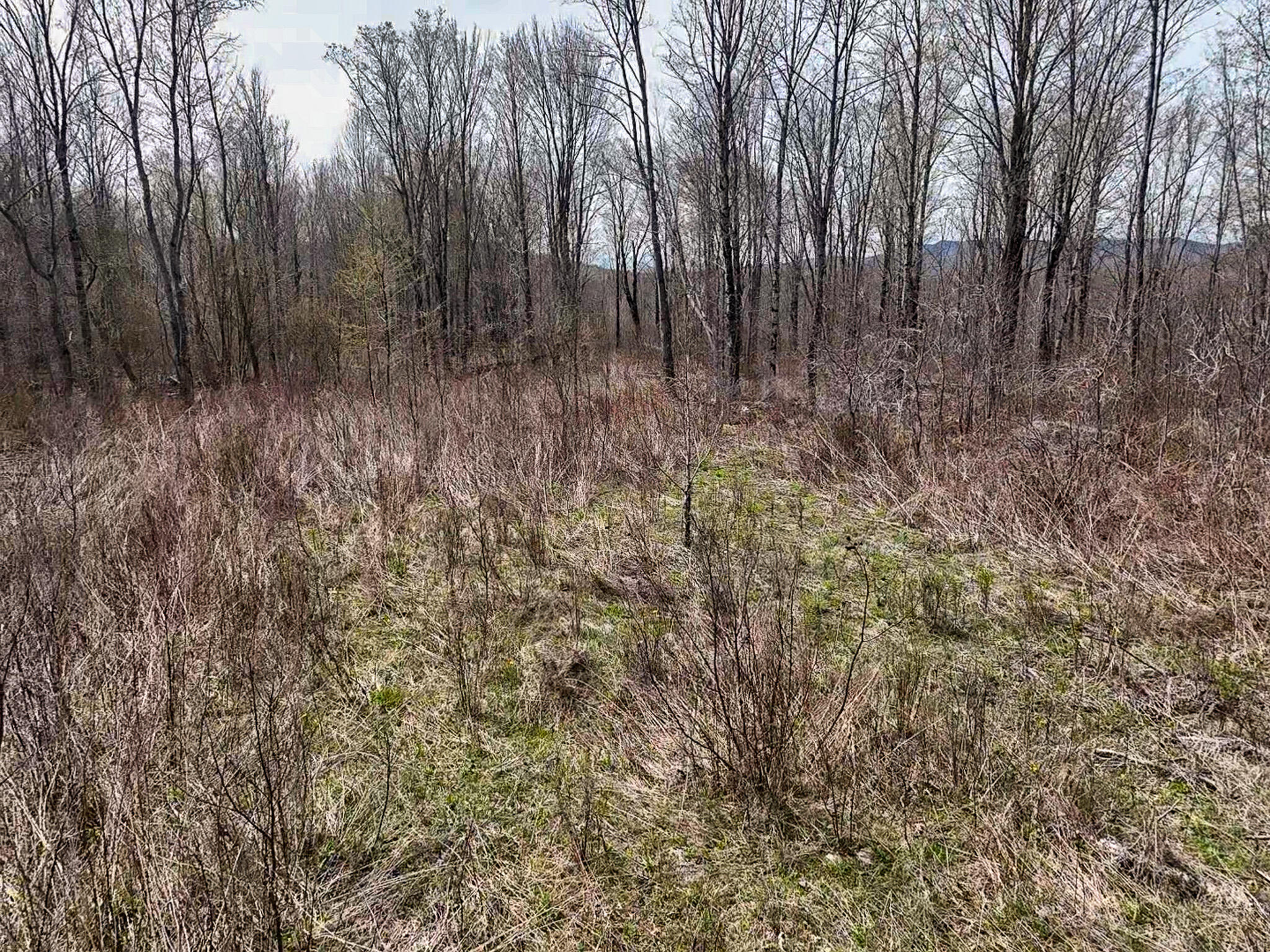 1 Center Hill Road Weld, ME 04285 - Photo 9 of 16 2026-05-09-11-12-05-909