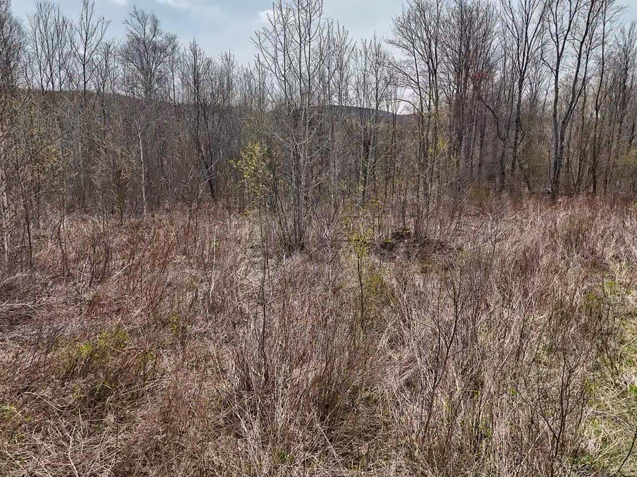 1 Center Hill Road Weld, ME 04285 - Photo 10 of 16 2026-05-09-11-12-07-800