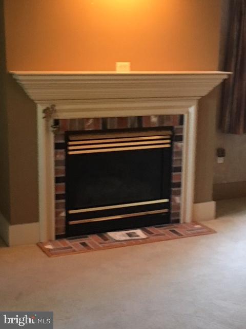 343 East Main Street Lititz, PA 17543 - Photo 7 of 34 Living Room Fireplace