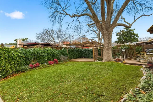 a view of a garden with a tree