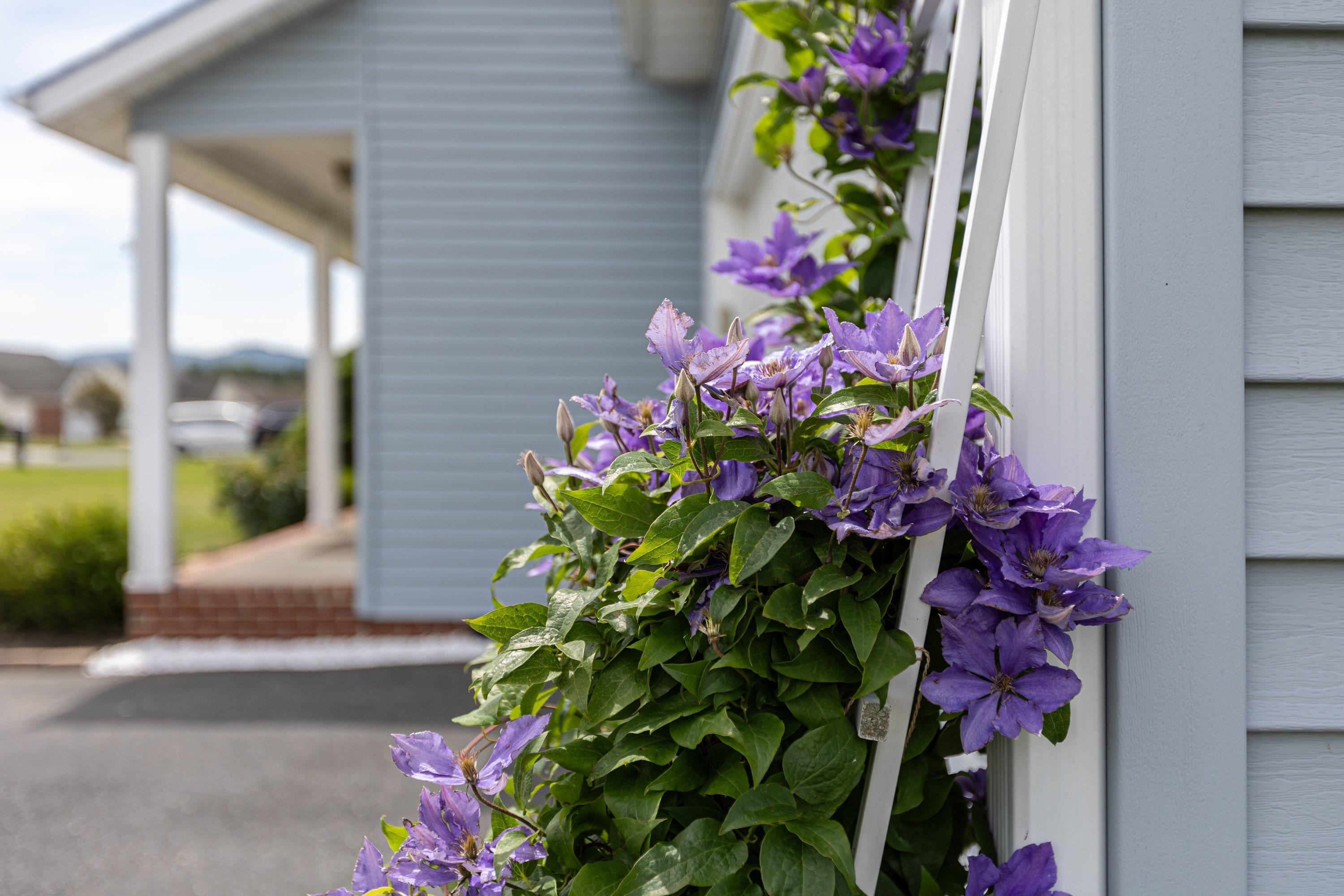 536 Three Leagues Road McGaheysville, VA 22840 - Photo 47 of 71 a flower vase with flowers in front of a window