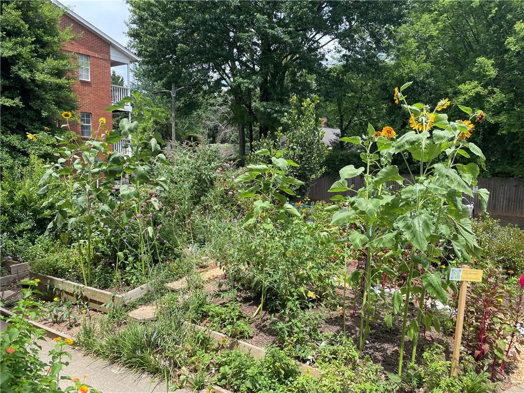 1031 State Street Northwest, Unit 205 Atlanta, GA 30318 - Photo 17 of 17 a plant view in yard