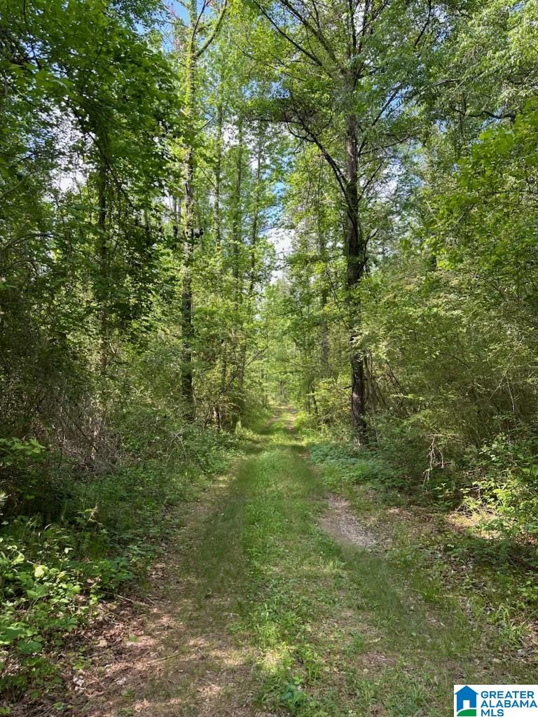 Fleming Road, Unit 1 Vincent, AL 35178 - Photo 4 of 10