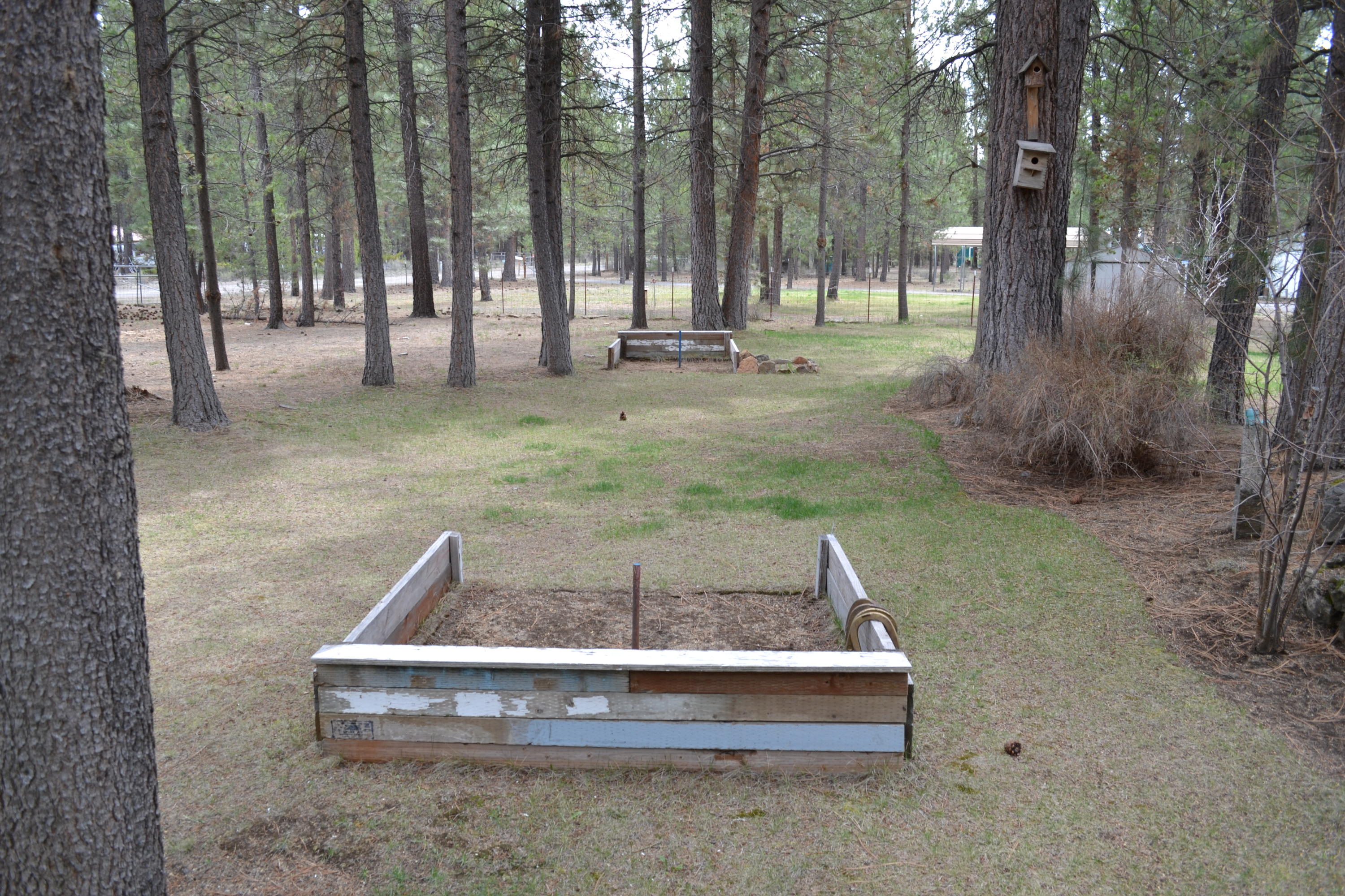 52729 Ammon Road La Pine, OR 97739 - Photo 26 of 29 a view of backyard with green space