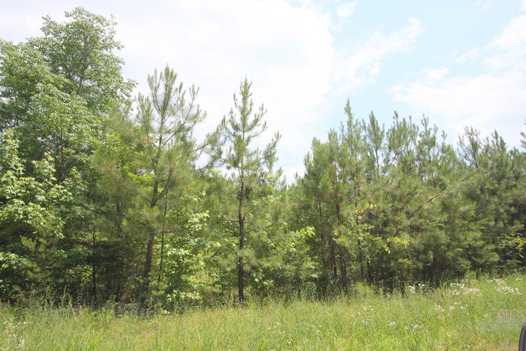 17 Carriage Hill Road, Unit 17 Farmville, VA 23901 - Photo 1 of 7 Gallery Image 1