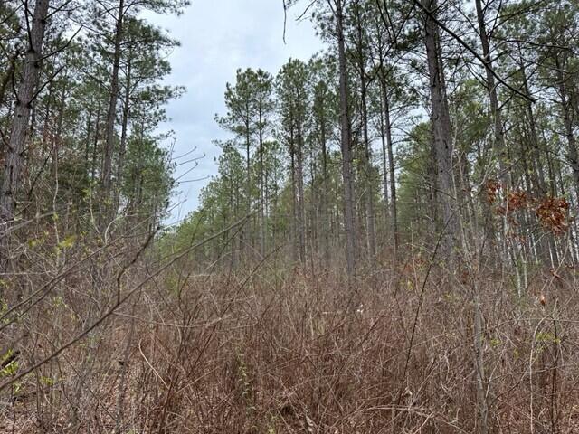 21.29 Fredonia Road Dunlap, TN 37327 - Photo 5 of 11 1