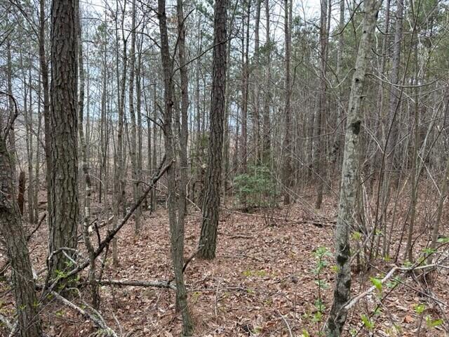 21.29 Fredonia Road Dunlap, TN 37327 - Photo 8 of 11 2