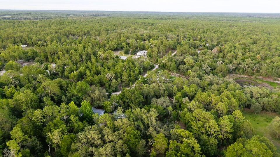121 Susan Road Hawthorne, FL 32640 - Photo 9 of 20 9