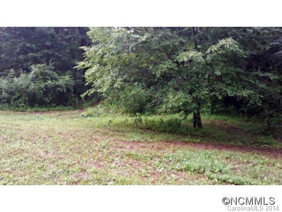 999 Lower Bailey Branch Road Mars Hill, NC 28754 - Photo 1 of 15 Gallery Image 1