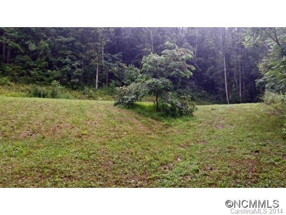 999 Lower Bailey Branch Road Mars Hill, NC 28754 - Photo 2 of 15 Gallery Image 2