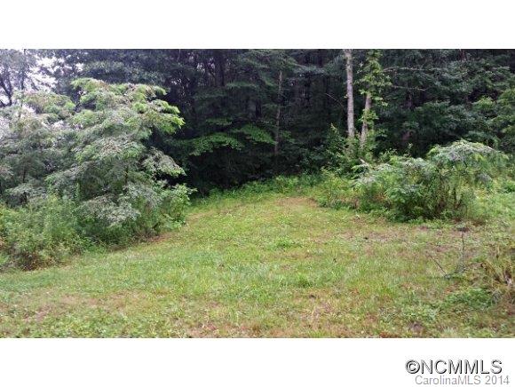 999 Lower Bailey Branch Road Mars Hill, NC 28754 - Photo 5 of 15 Gallery Image 5