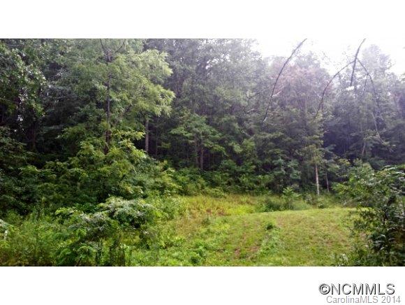 999 Lower Bailey Branch Road Mars Hill, NC 28754 - Photo 8 of 15 Gallery Image 8