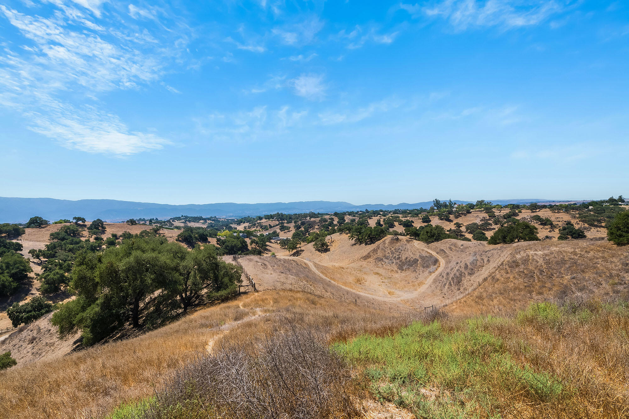 3333-3349 Long Valley Road Santa Ynez, CA 93460 - Photo 85 of 95 DSC_4600