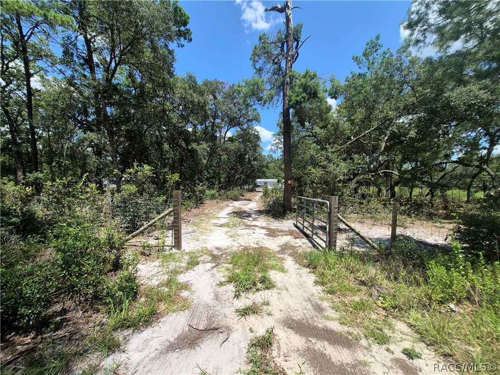 14825 Southwest 71st Ave Road Ocala, FL 34473 - Photo 13 of 17