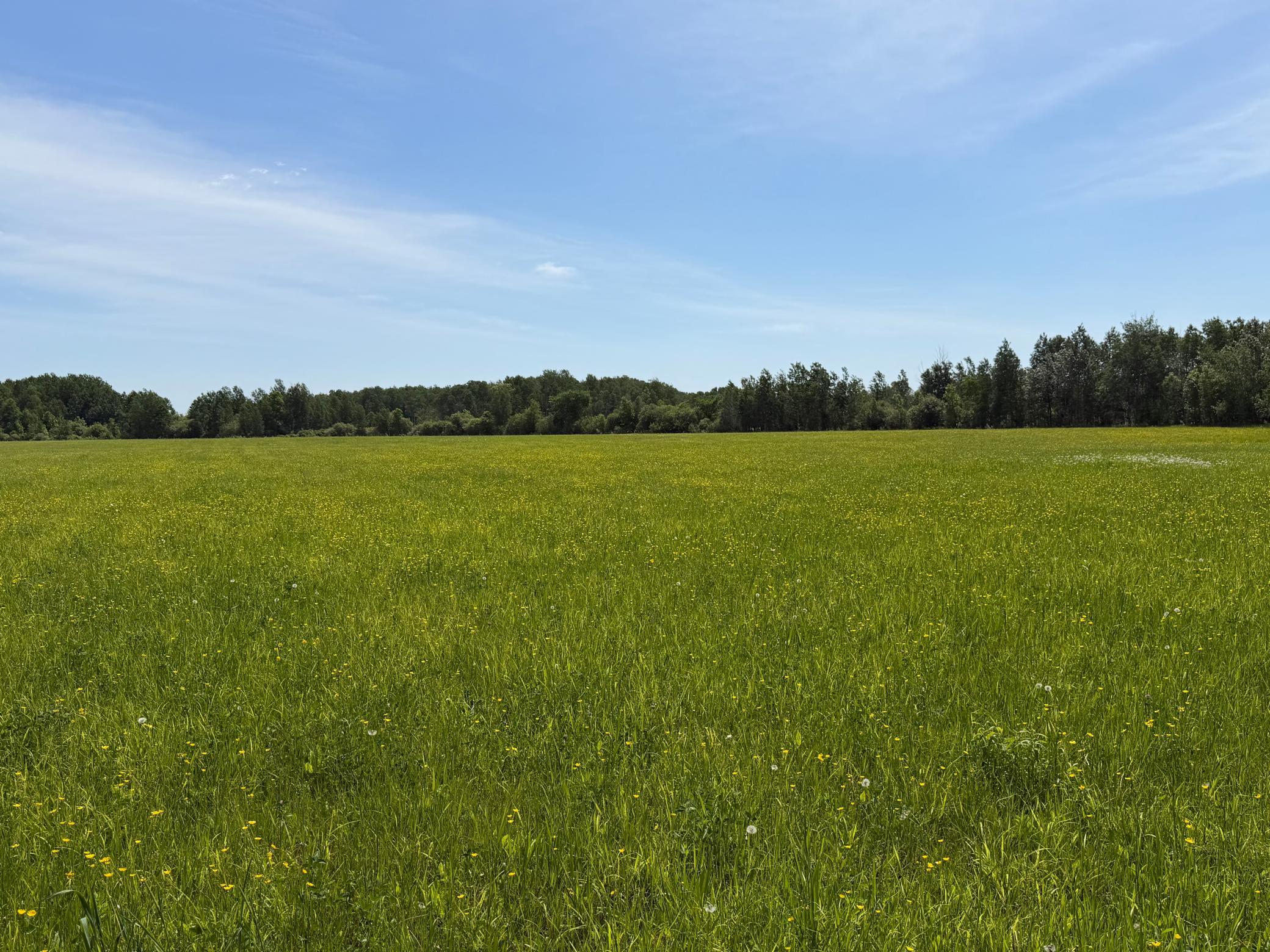 Tbd-b 180th Street Milaca, MN 56353 - Photo 29 of 80