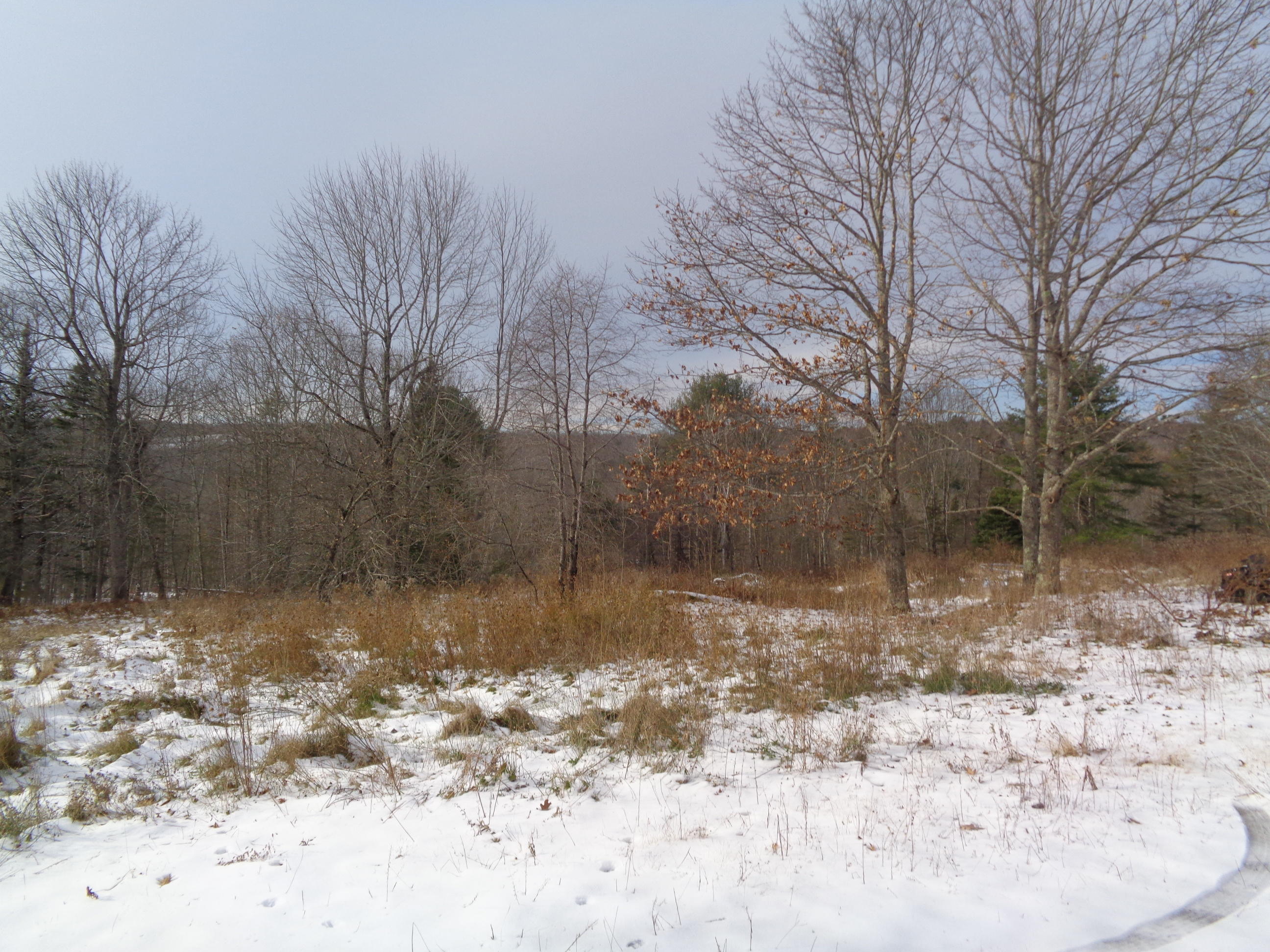 325 Monroe Road Winterport, ME 04496 - Photo 30 of 32 DSC02451