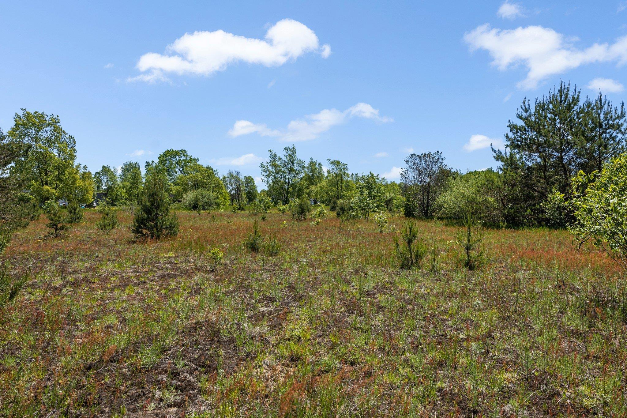 20516 Rhodes Road Interlochen, MI 49643 - Photo 17 of 33