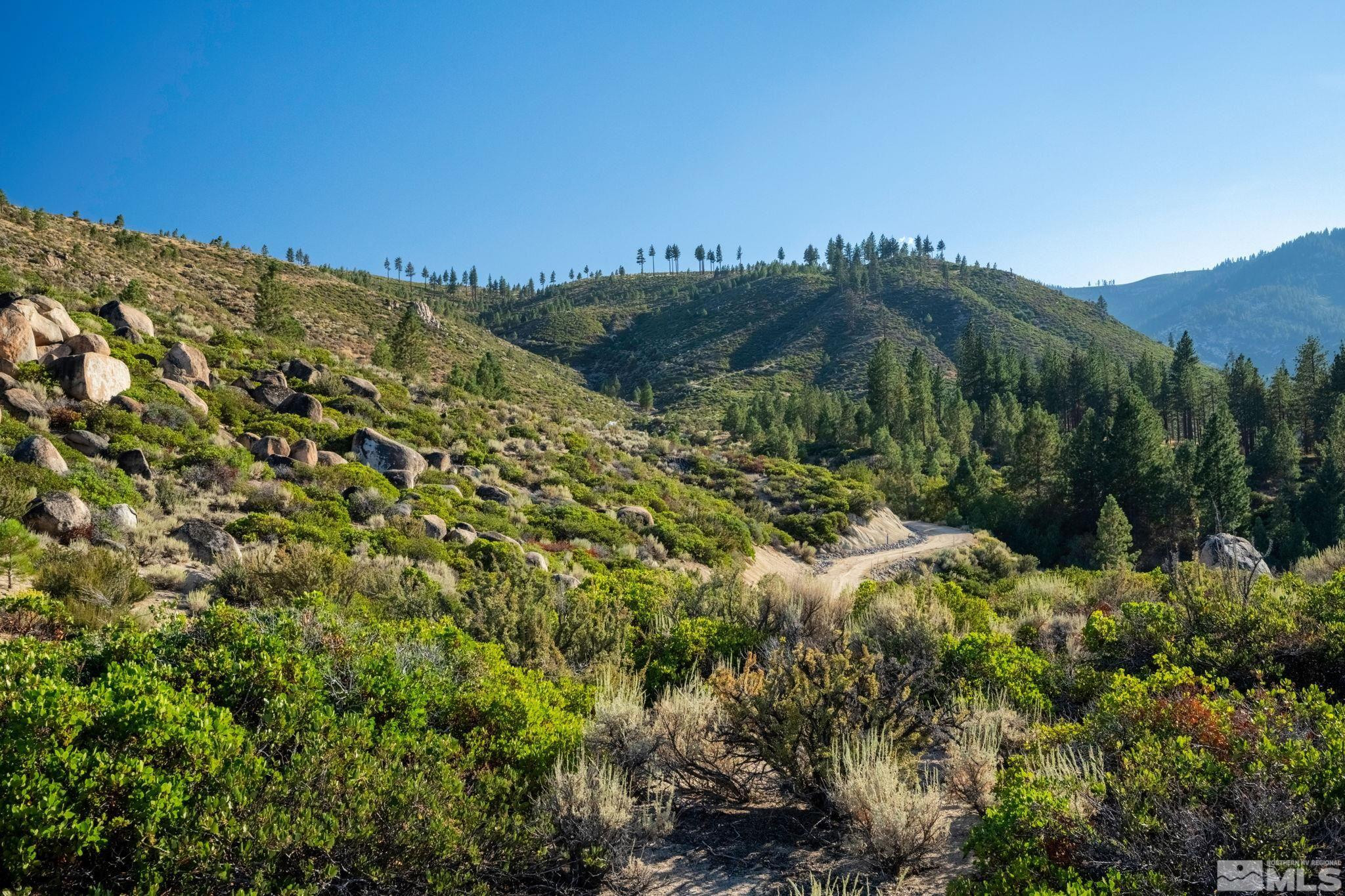 0 Franktown Road Washoe Valley, NV 89704 - Photo 7 of 14 Photo 7