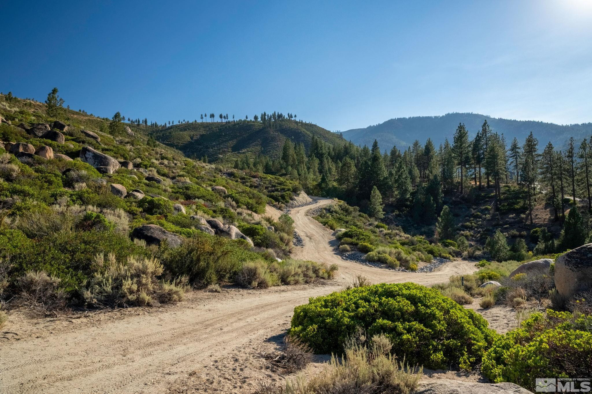 0 Franktown Road Washoe Valley, NV 89704 - Photo 9 of 14 Photo 9