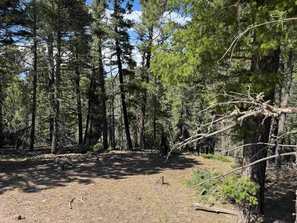 $19,500 | Lot 1662 El Vado Way, Angel Fire, NM 87710