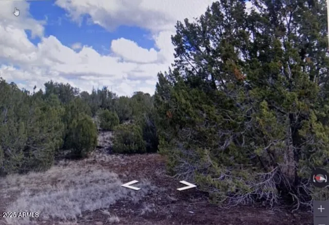 a big yard with lots of green space