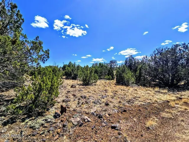 a view of a yard with a tree