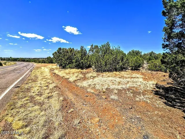 a view of a yard with a tree