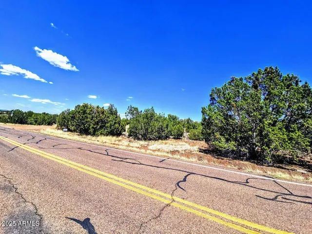 a view of a street and a yard