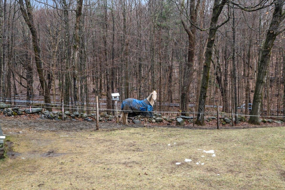 1215 Howrigan Road Fletcher, VT 05448 - Photo 31 of 37