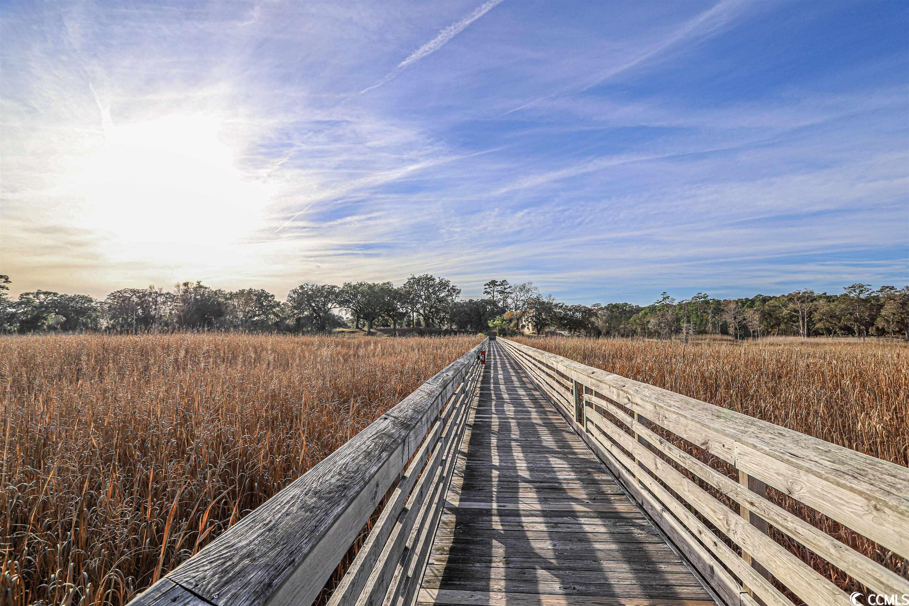 607 Millbrook Road Georgetown, SC 29440 - Photo 35 of 40