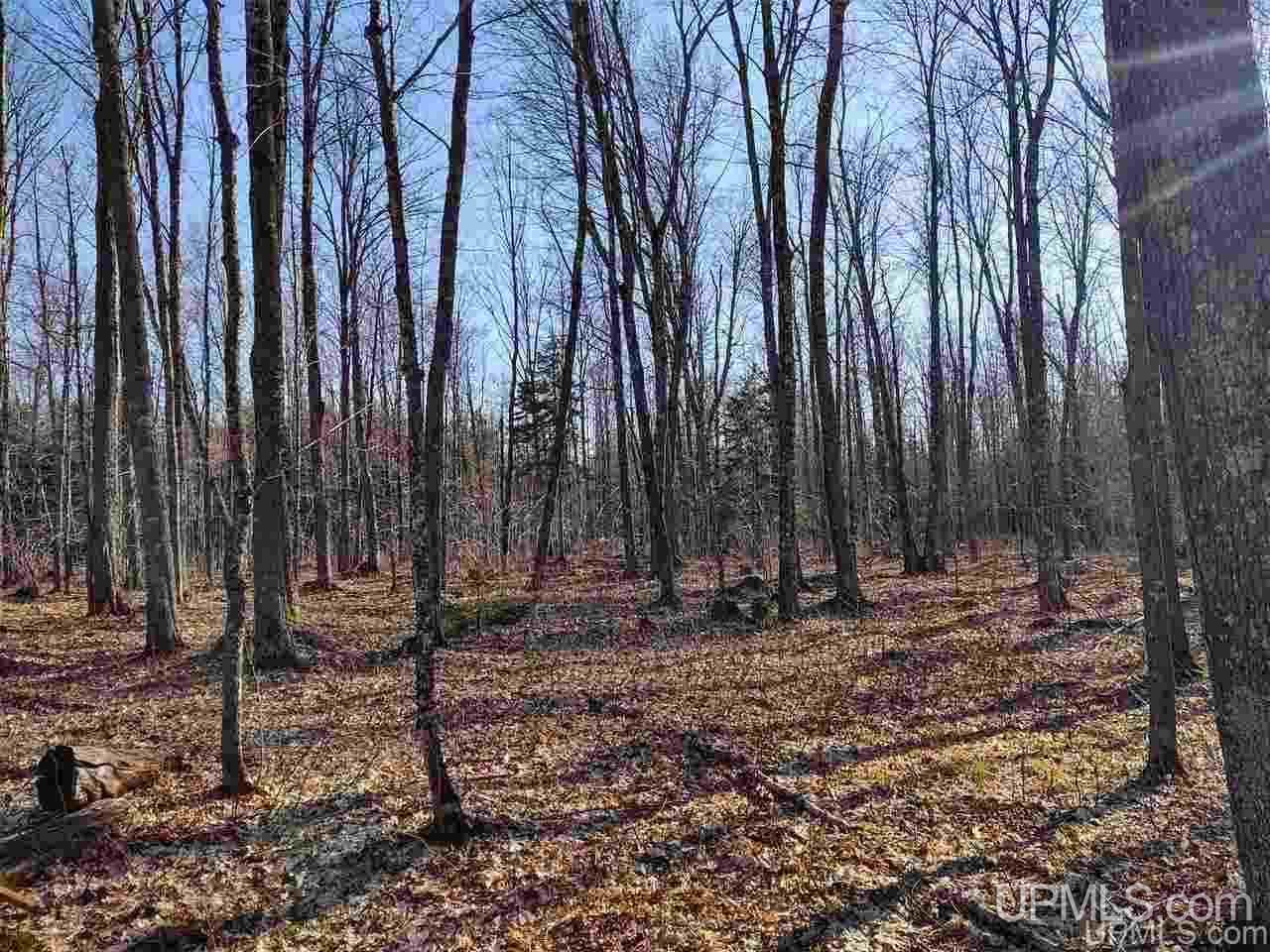 Tbd Sandstone B Road Lake Linden, MI 49945 - Photo 13 of 50