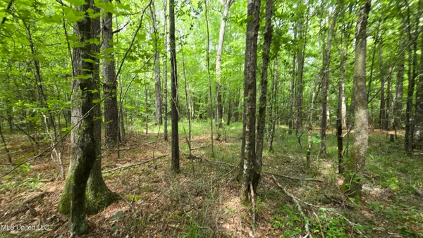 $86,400 | Pearson Road, Stewart, MS 39767