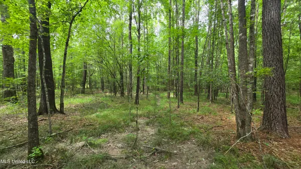 $86,400 | Pearson Road, Stewart, MS 39767
