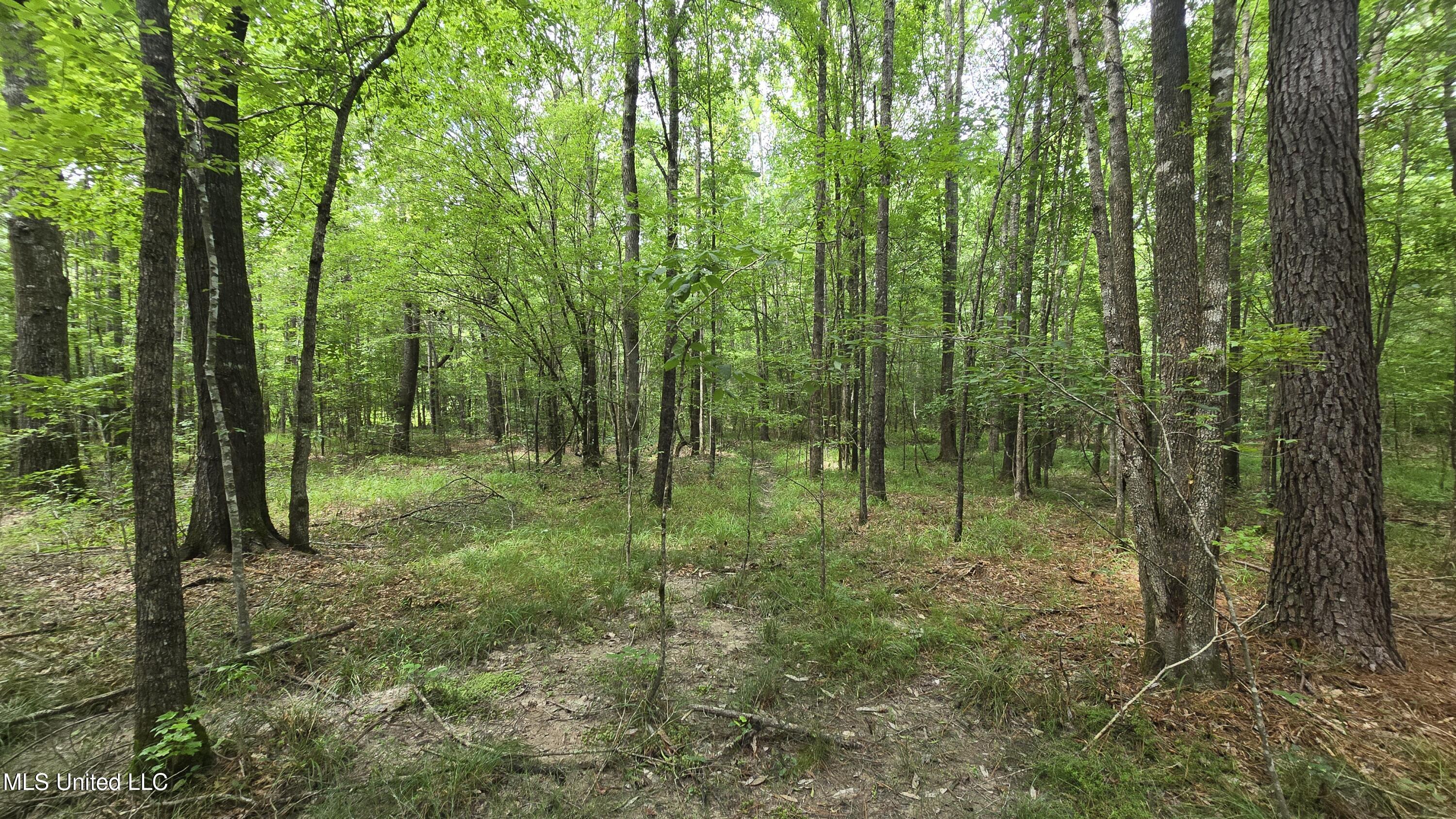 Pearson Road Stewart, MS 39767 - Photo 14 of 44 20250703_145753