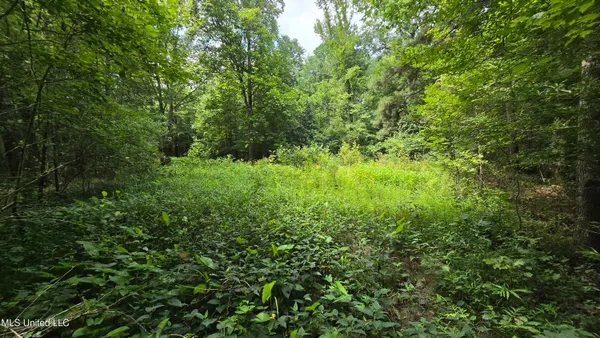 $86,400 | Pearson Road, Stewart, MS 39767