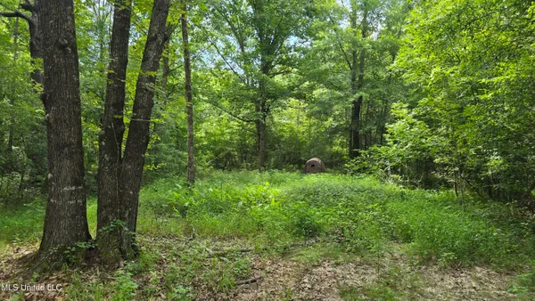 $86,400 | Pearson Road, Stewart, MS 39767