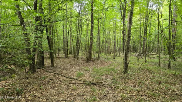 $86,400 | Pearson Road, Stewart, MS 39767