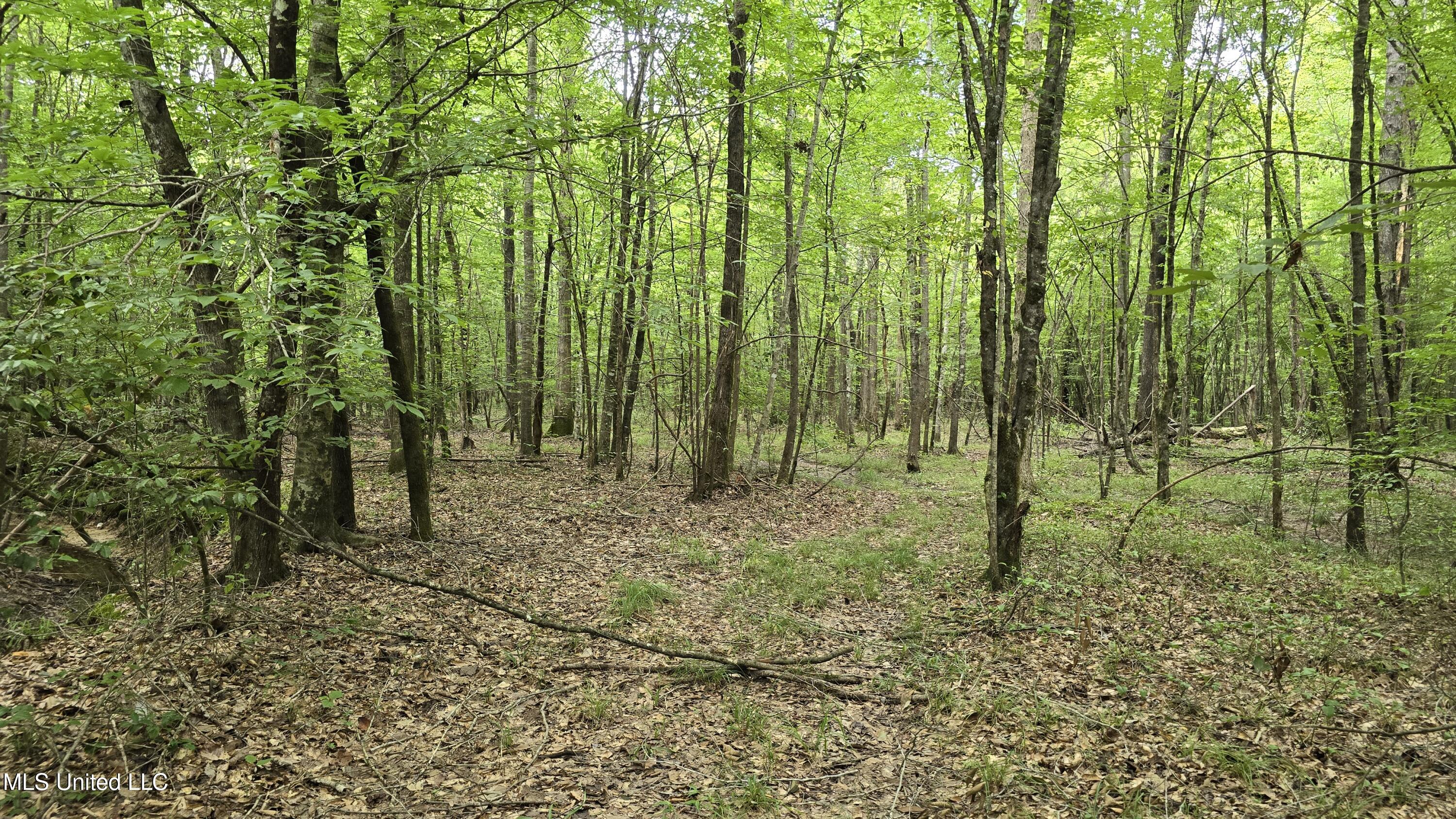 Pearson Road Stewart, MS 39767 - Photo 25 of 44 20250703_141736