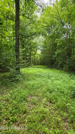 $86,400 | Pearson Road, Stewart, MS 39767