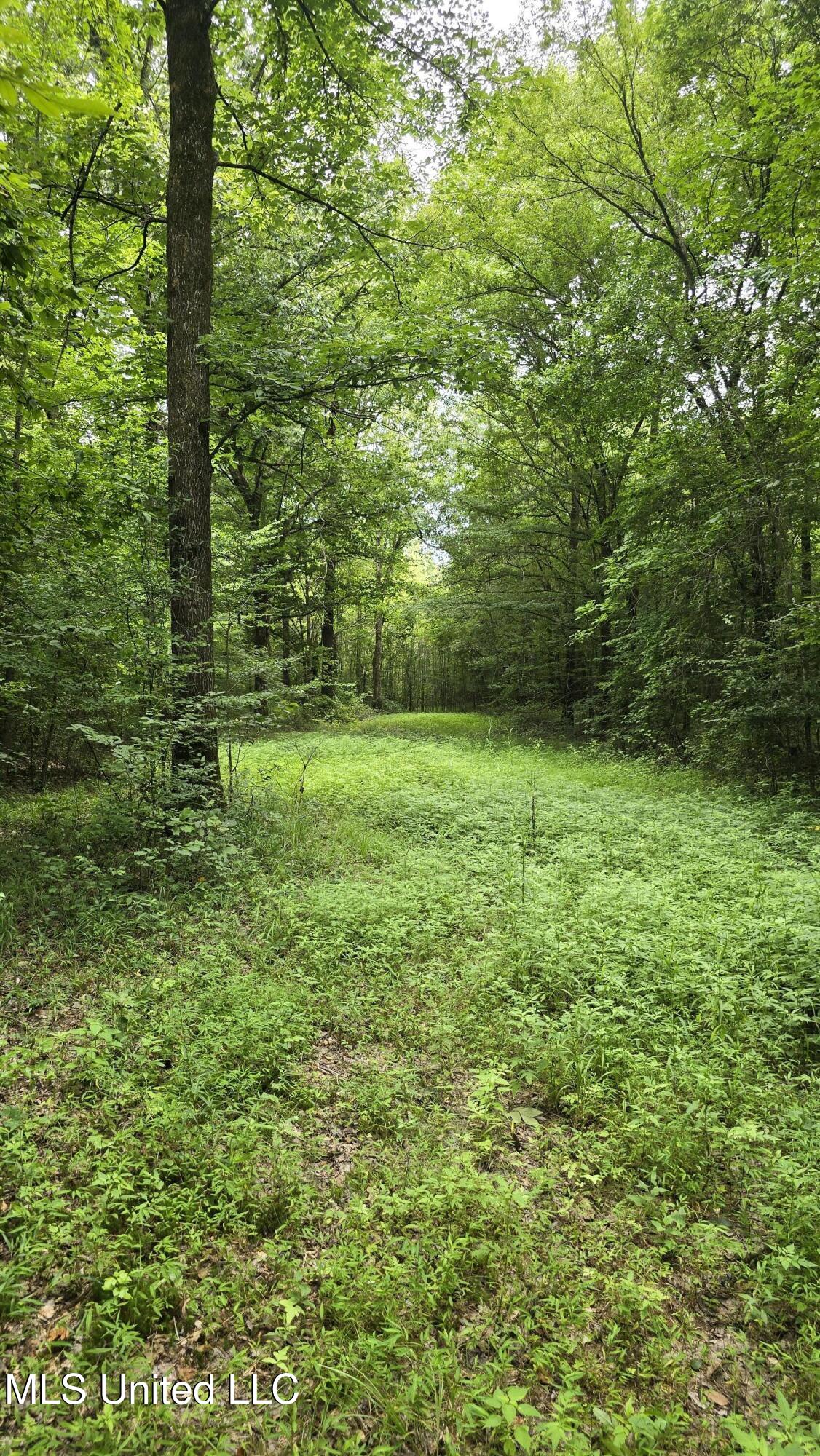 Pearson Road Stewart, MS 39767 - Photo 29 of 44 20250703_142137
