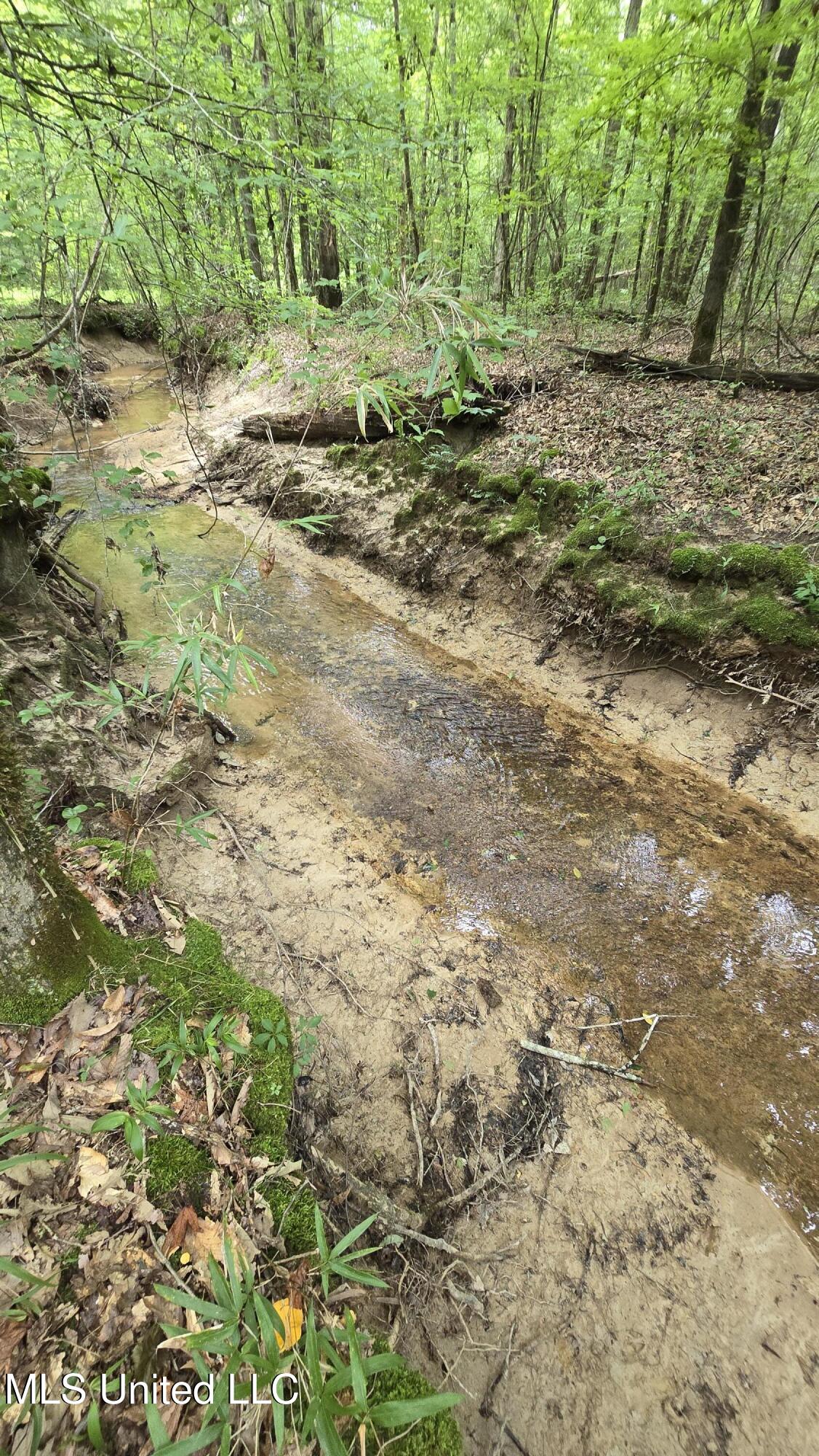 Pearson Road Stewart, MS 39767 - Photo 32 of 44 20250703_142418