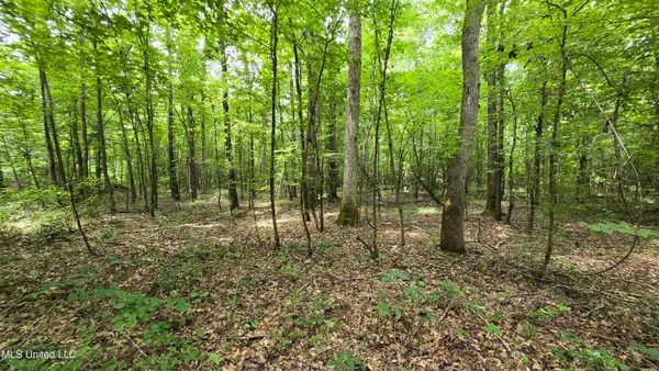 $86,400 | Pearson Road, Stewart, MS 39767